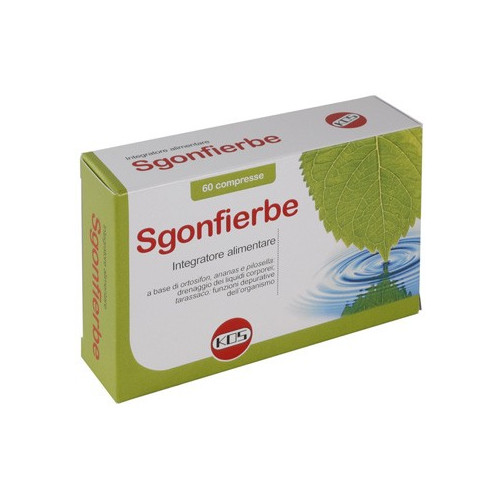 SGONFIERBE 60CPR