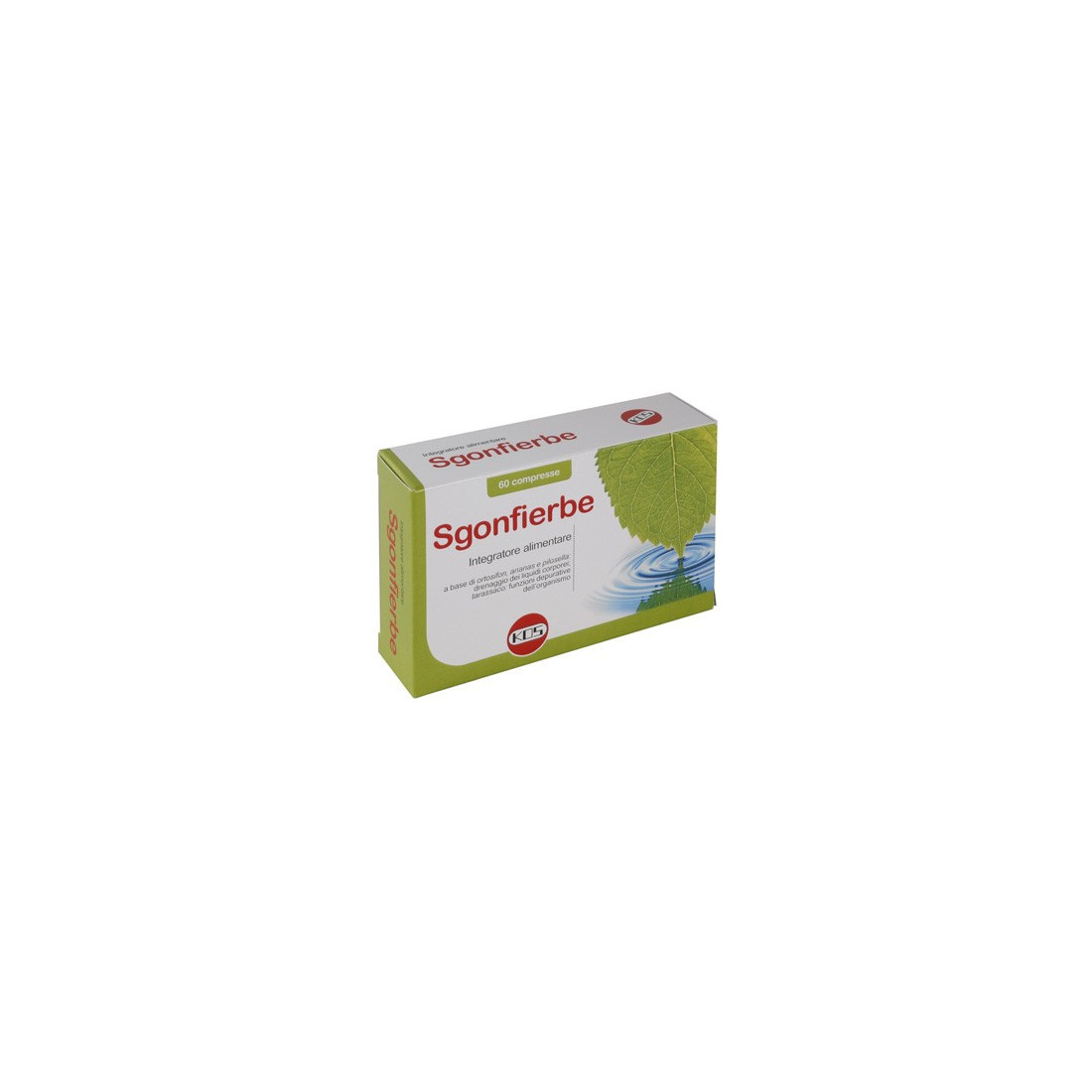SGONFIERBE 60CPR
