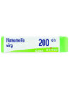 HAMAMELIS VIRG 200CH GL