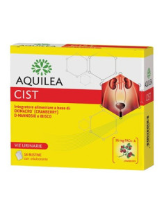 AQUILEA CIST 14BUST