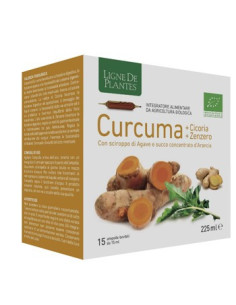 CURCUMA CICORIA ZENZ 15AMPOLLE