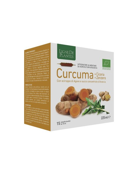 CURCUMA CICORIA ZENZ 15AMPOLLE