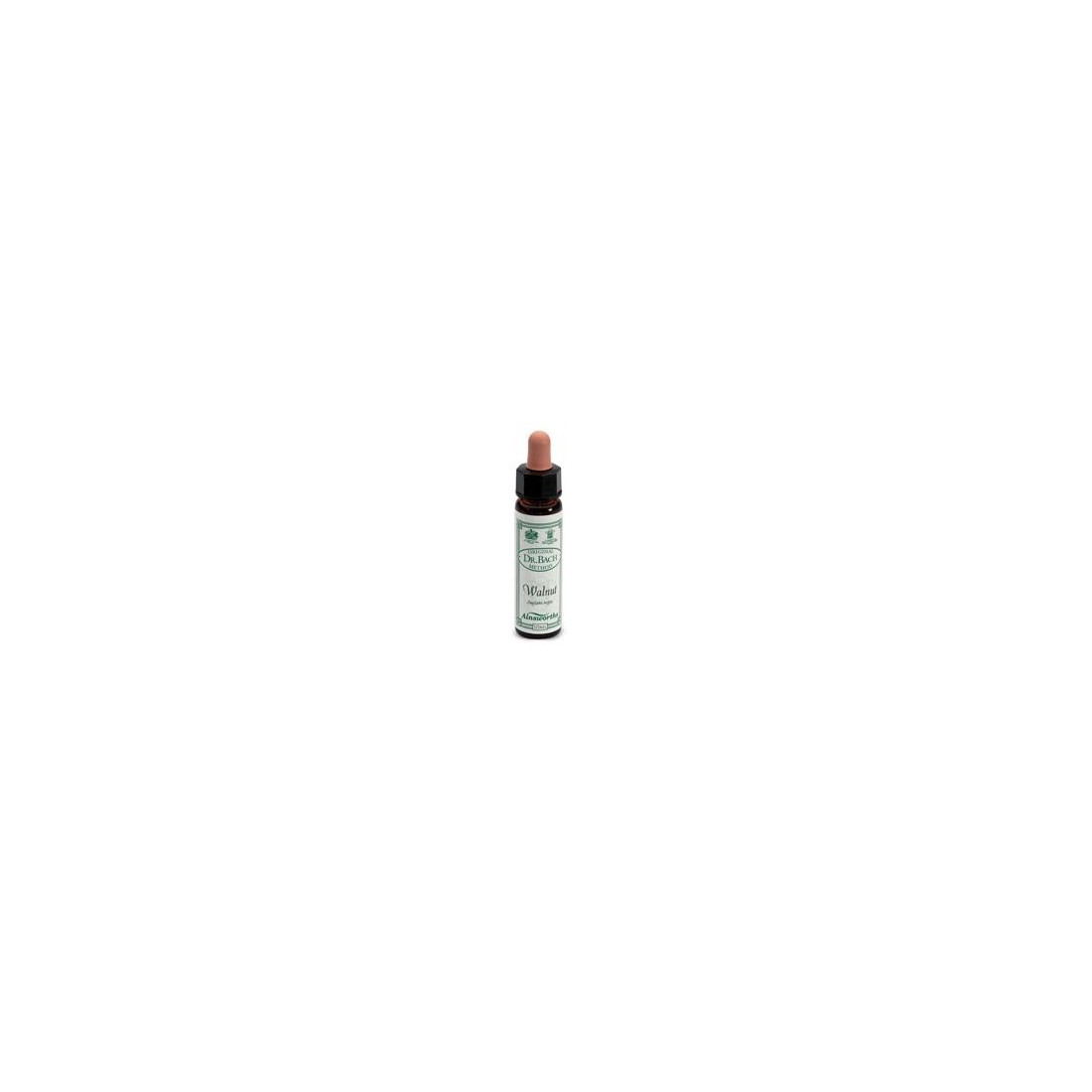 AINSWORTHS WALNUT 10ML