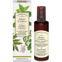 SPRAY CAPELLI PURIFICA RINF PR