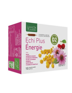 ECHI PLUS ENERGIE 10AMPOLLE