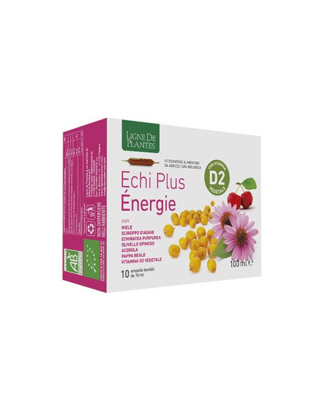 ECHI PLUS ENERGIE 10AMPOLLE