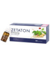 ZETATON GINSENG 12FX10ML
