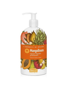 I SORBETTI MANGOBOOM SAP 500ML