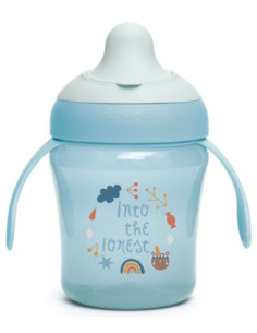 TAZZA ANTIGOCCIA +6M FOREST AZ