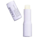 CAUDALIE STICK LABBE 2022