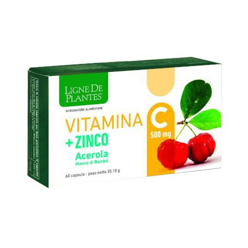 VITAMINA C 500MG+ZI/AC/BA60CPS