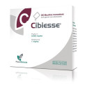 CIBIESSE 20BUST