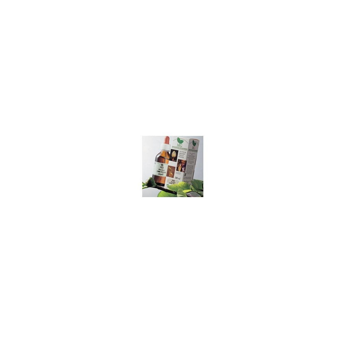 VITE 100ML MG