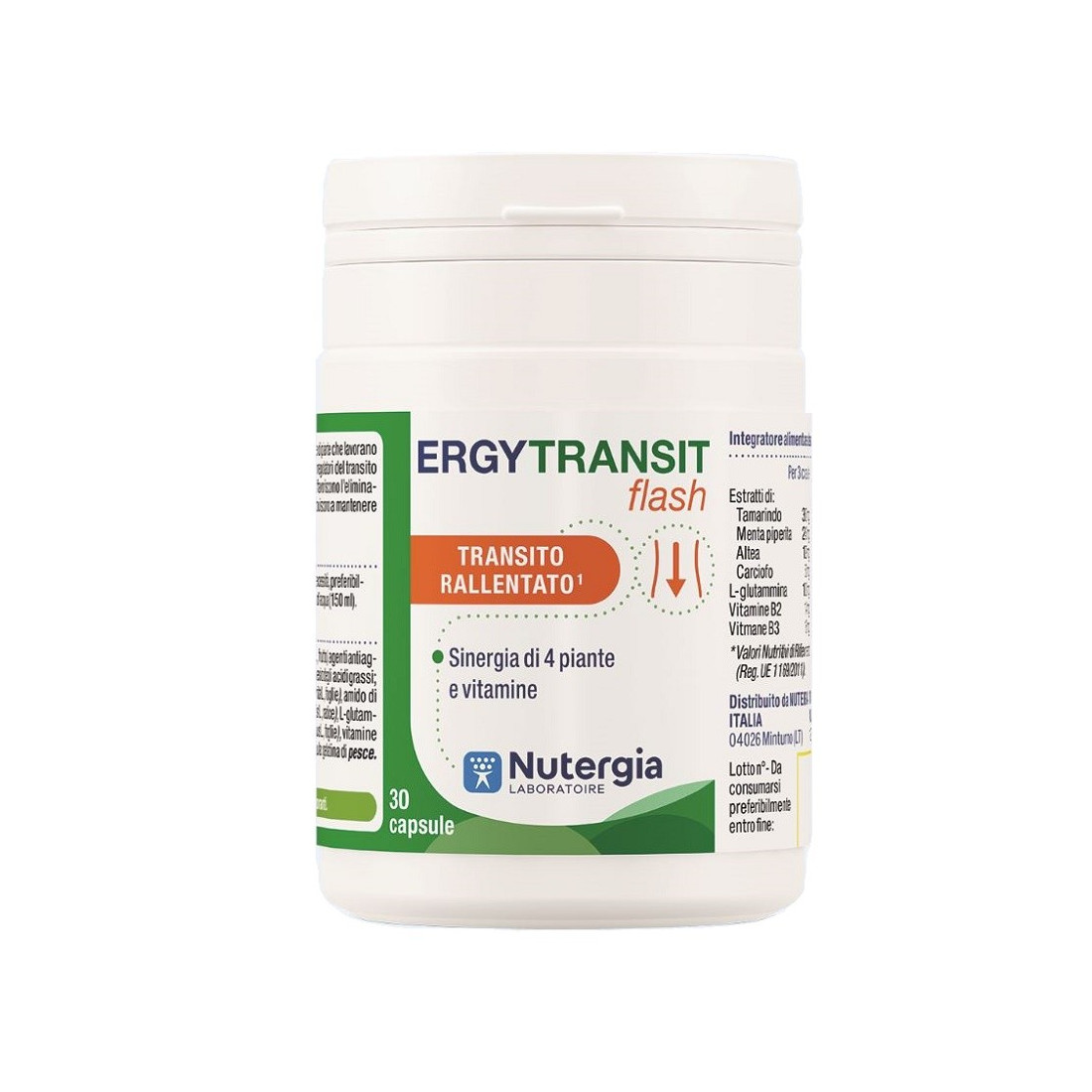 ERGYTRANSIT