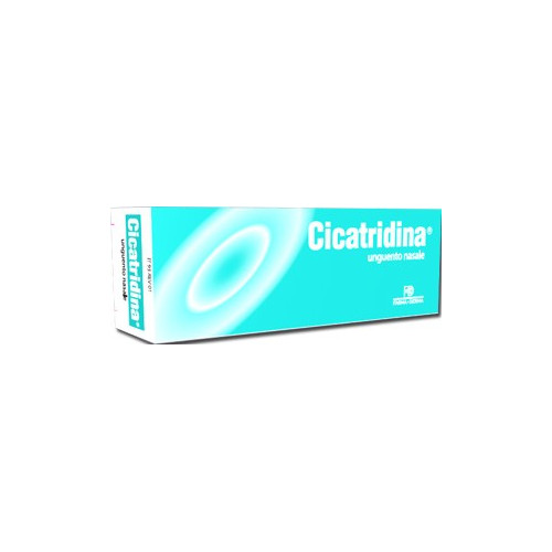 CICATRIDINA UNGUENT NAS 15G