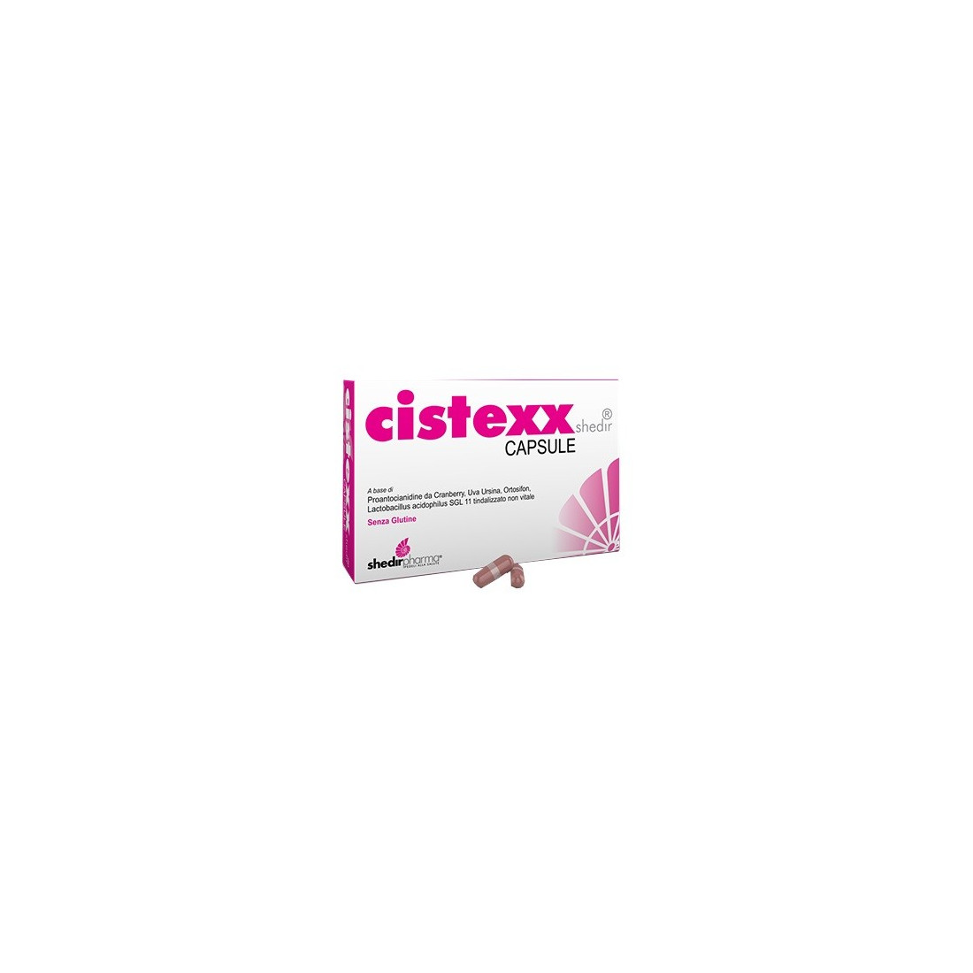 CISTEXX SHEDIR 14CPS