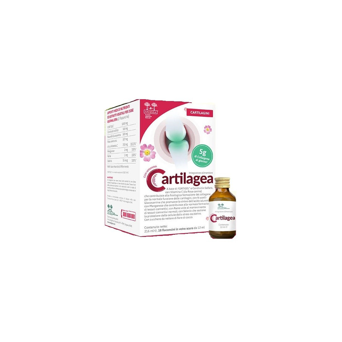 CARTILAGEA SALUGEA 18FL
