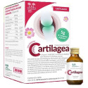CARTILAGE SALUGEA 18FL