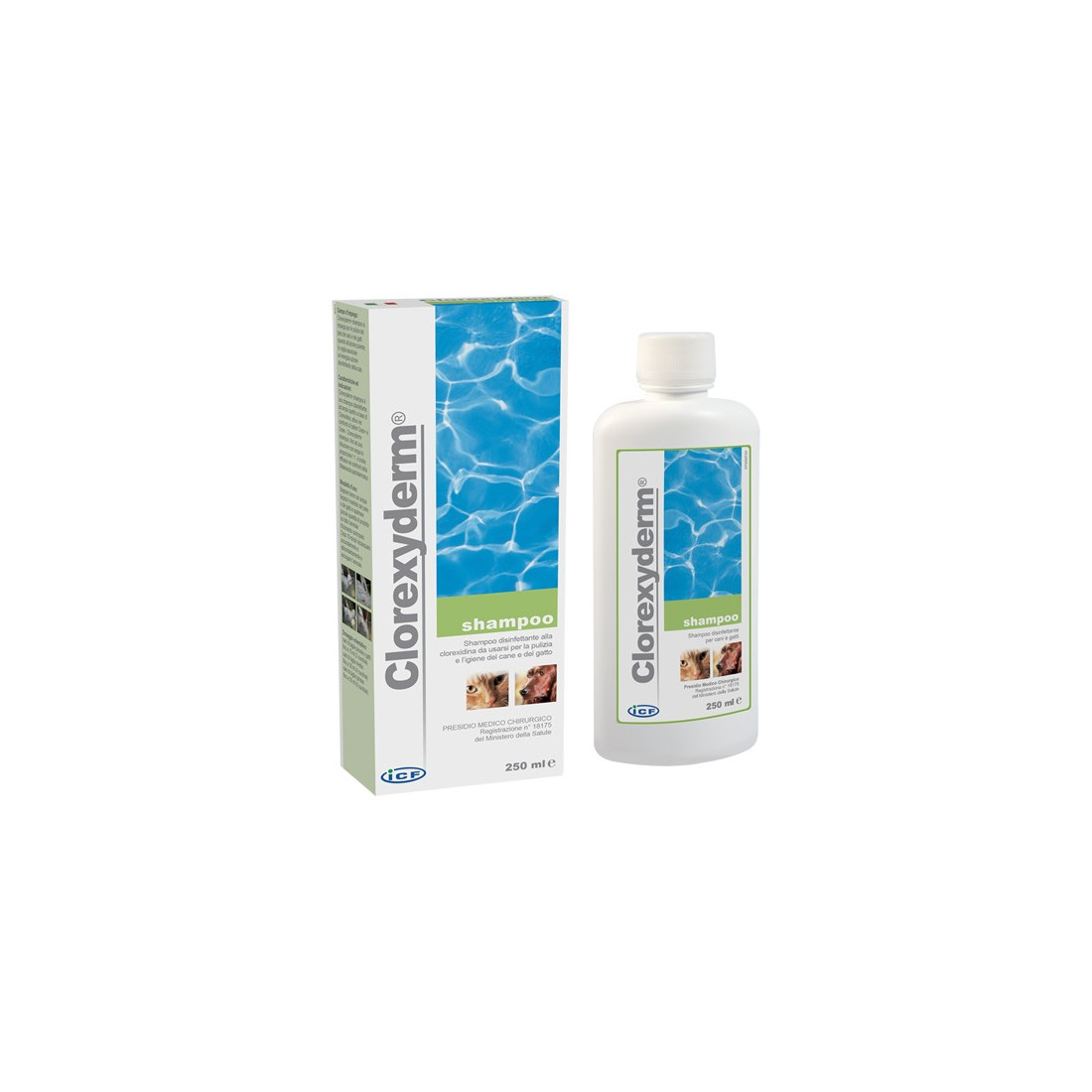 CLOREXYDERM SHAMPOO 250ML