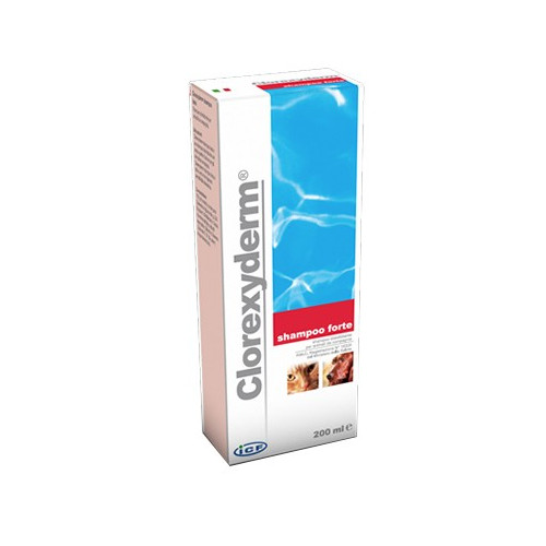 CLOREXYDERM SHAMPOO FORTE200ML
