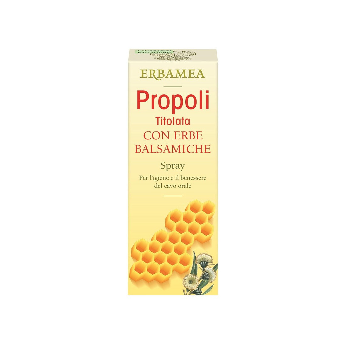 SPRAY ERBE
