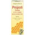 SPRAY ERBE