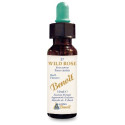 BENOIT FIORI DI BACH WILD ROSE