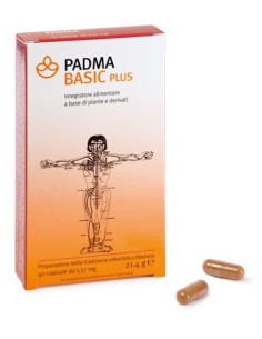 PADMA BASIC PLUS 40CPS