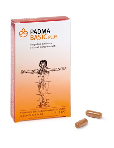 PADMA BASIC PLUS 40CPS