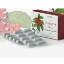 GUARANA MIX 24CPS VEG