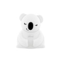 CH LUCE KOALA RICAR
