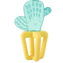 CH MASSAGGIA FRESH CACTUS 4M+