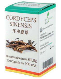 CORDYCEPS 100CPS