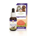 AGGRESSIVE 30ML