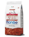 MONGE MINI PUPPY AGNELLO&RISO