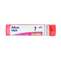 ALLIUM CEPA 7CH 80GR 4G