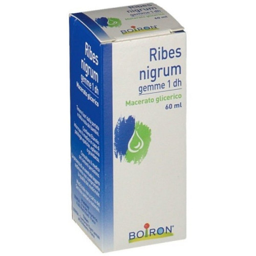 BLACKCURRANT BUDS 60ML MG