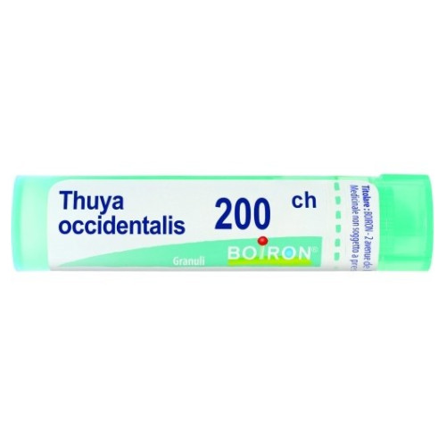 THUYA OCCIDENT 200CH GL