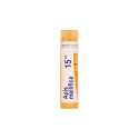 APIS MELLIFICA 15CH GR