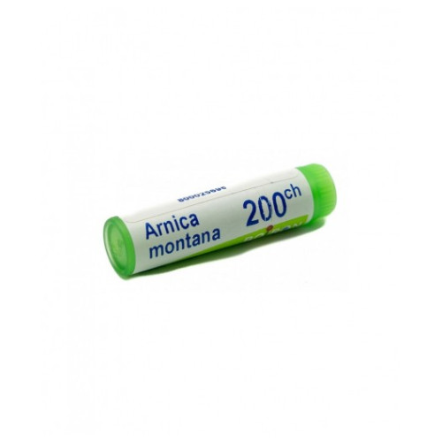 ARNICA MONTANA 200CH GR 1G