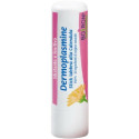 DERMOPLASMINE STICK LABBRA CAL