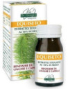 ENERVIT C2 1 CARBO GEL CAFF1PZ