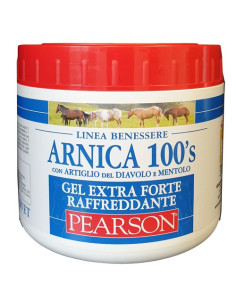 ARNICA 100'S GEL EX FT RAFF500