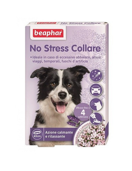 NO STRESS COLLARE CANE