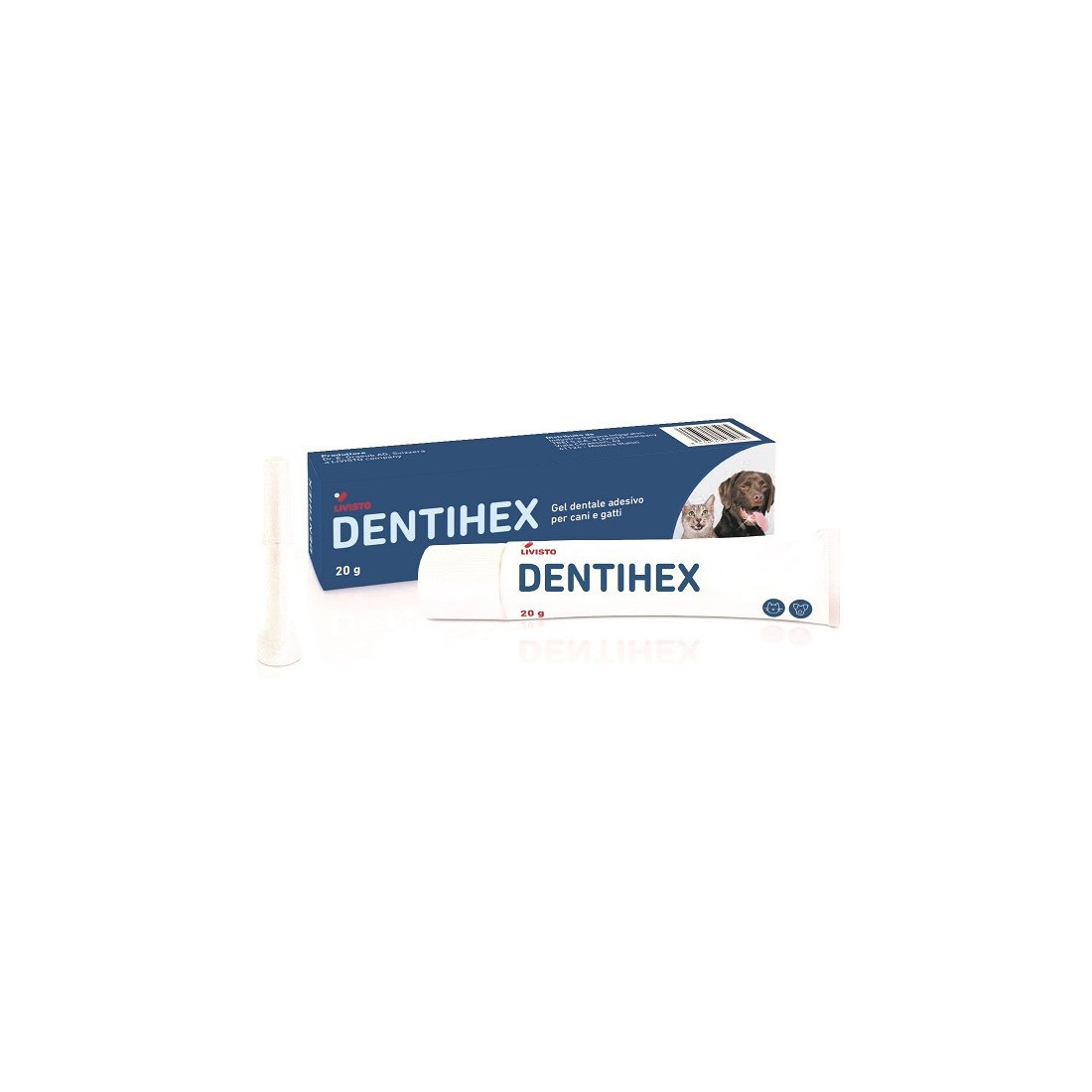 DENTIHEX GEL DENTALE ADES C/G