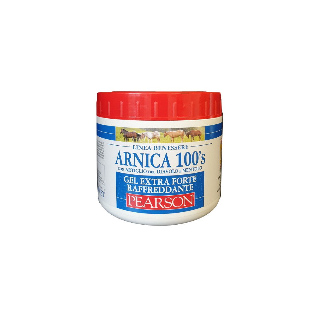 ARNICA 100'S GEL EX FT RAFF500