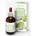 ARTICLE OF DIAVOLO AND 50ML