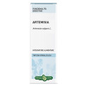 ARTEMISY V SOL IAL 50ML