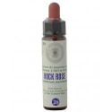 BACH 26 ROCK ROSE GTT