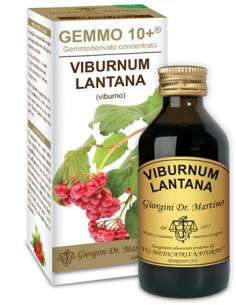 VIBURNO LIQ ANALCOLICO 100ML